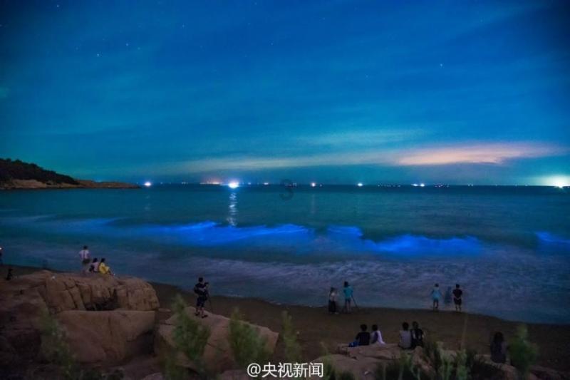逃离金色的沙漠